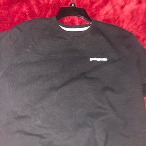 patagonia t shirt